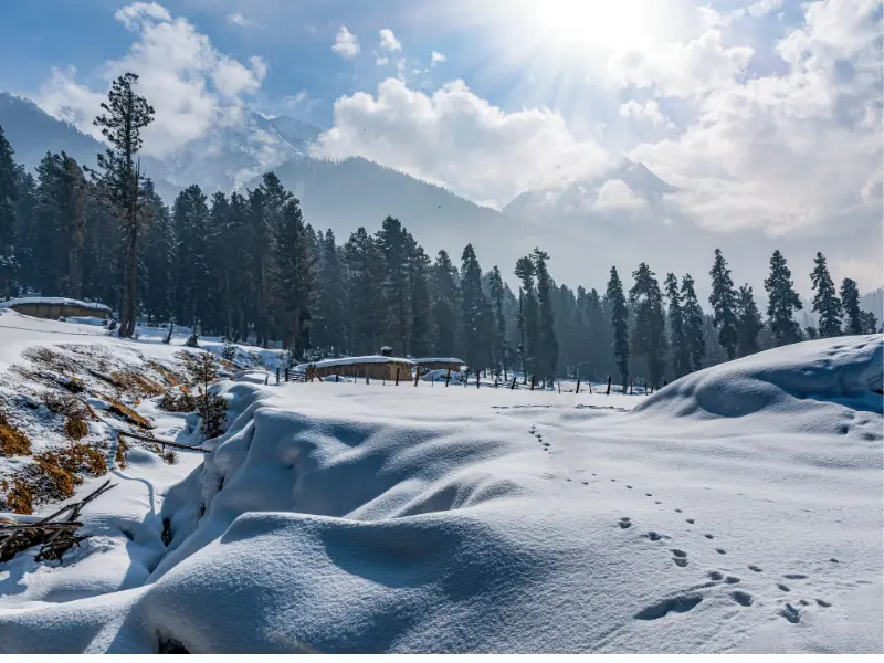 Jammu and kashmir